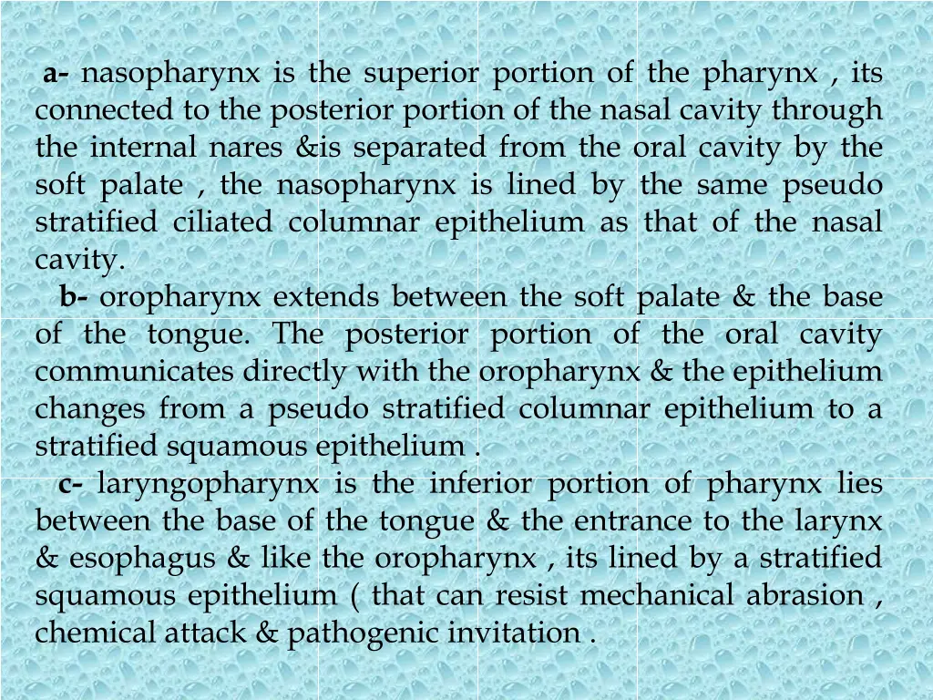 a nasopharynx is the superior portion