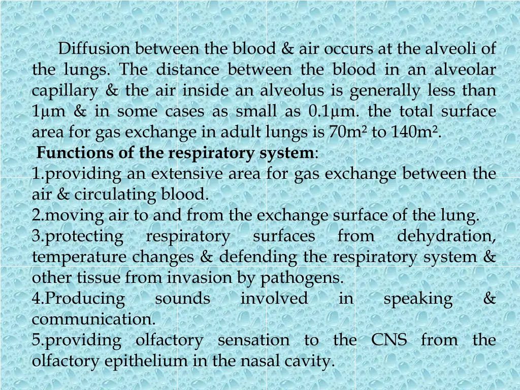 diffusion between the blood air occurs