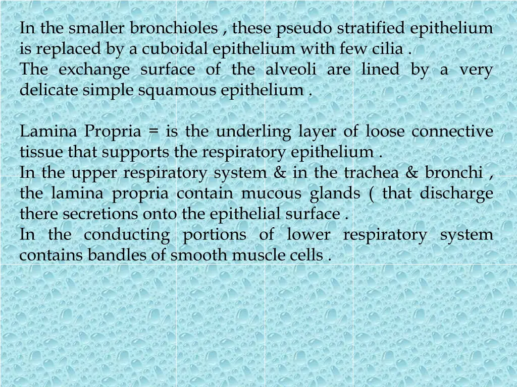 in the smaller bronchioles these pseudo