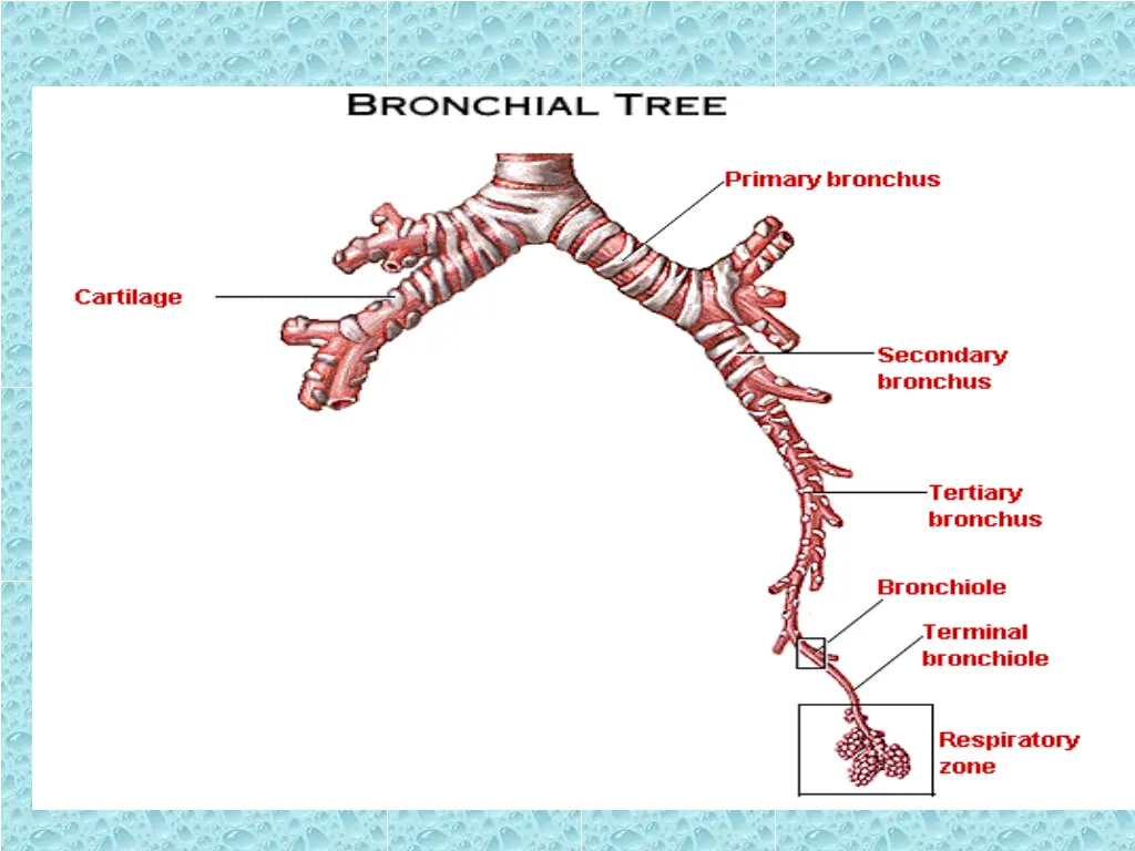 slide19