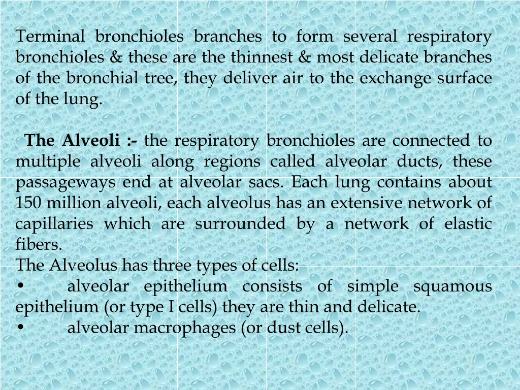 terminal bronchioles branches to form several