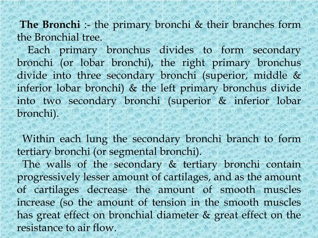 the bronchi the primary bronchi their branches