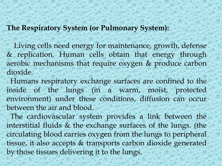 the respiratory system or pulmonary system