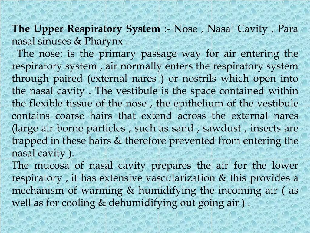 the upper respiratory system nose nasal cavity