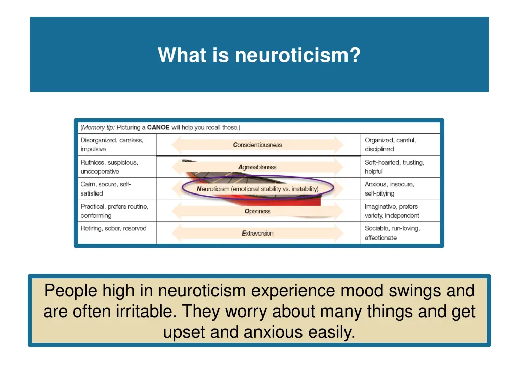 what is neuroticism