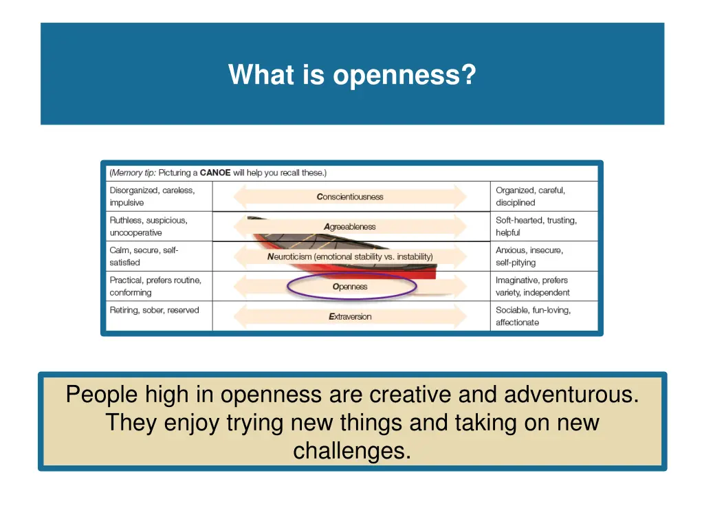 what is openness