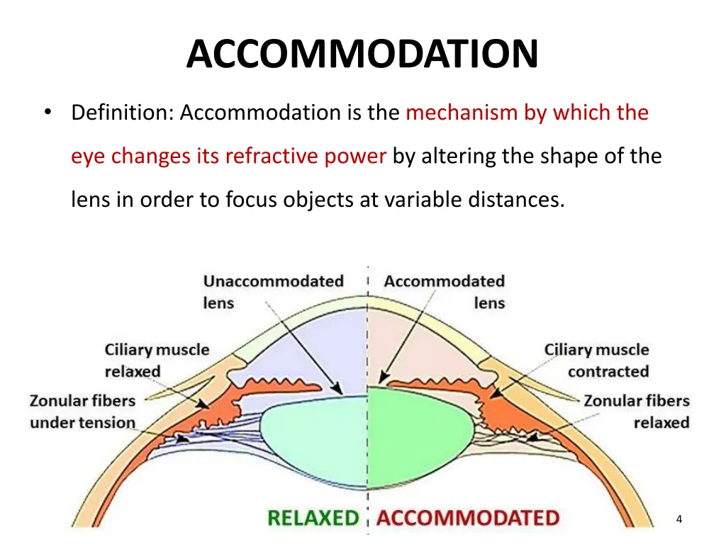 accommodation