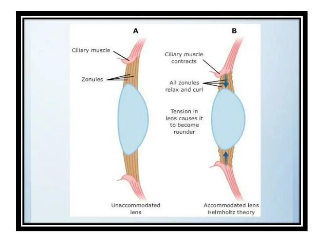 slide7