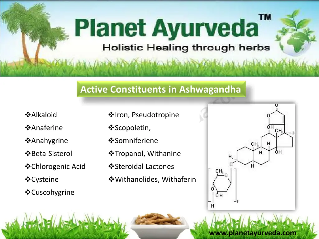 active constituents in ashwagandha