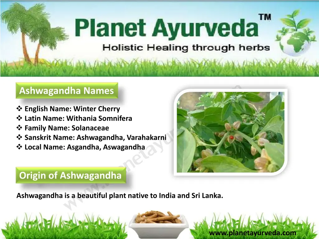 ashwagandha names