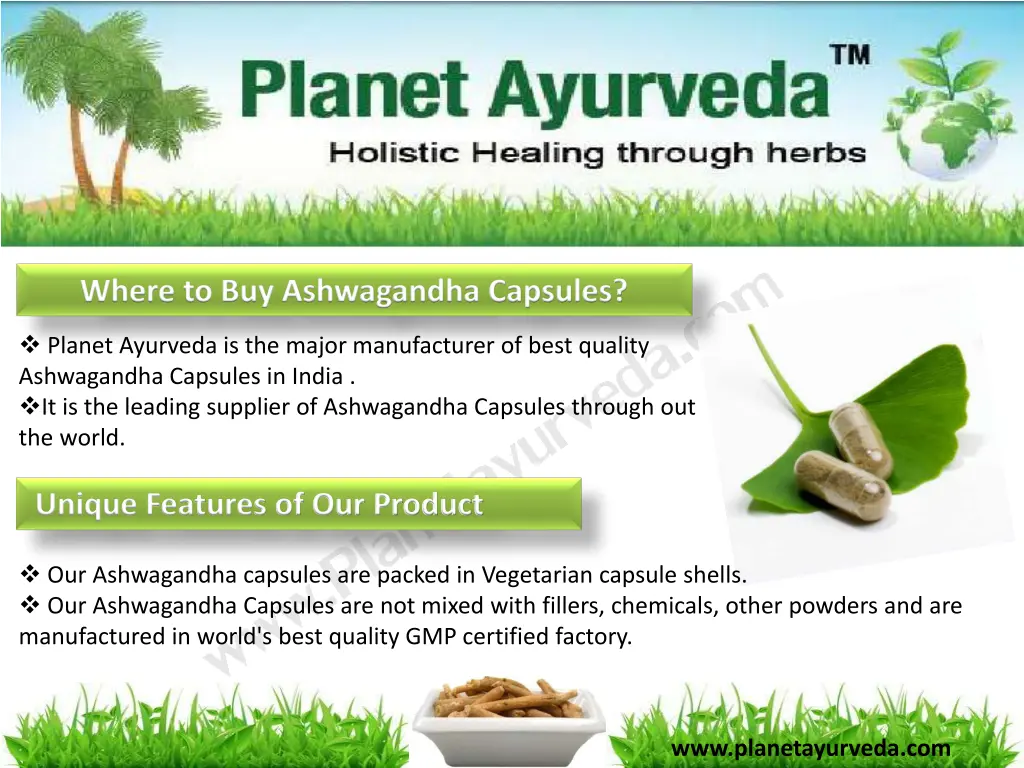 where to buy ashwagandha capsules