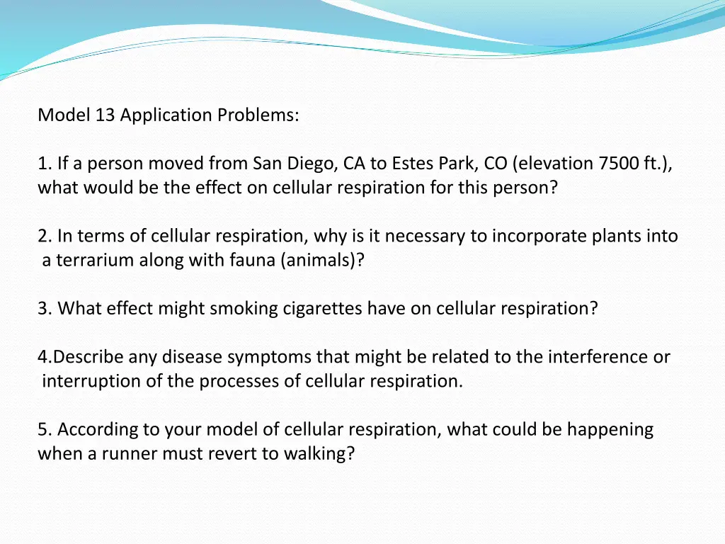 model 13 application problems