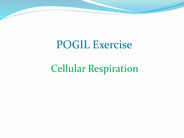 pogil exercise