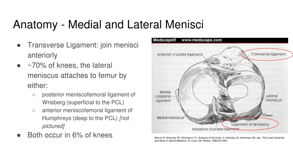 anatomy medial and lateral menisci 3