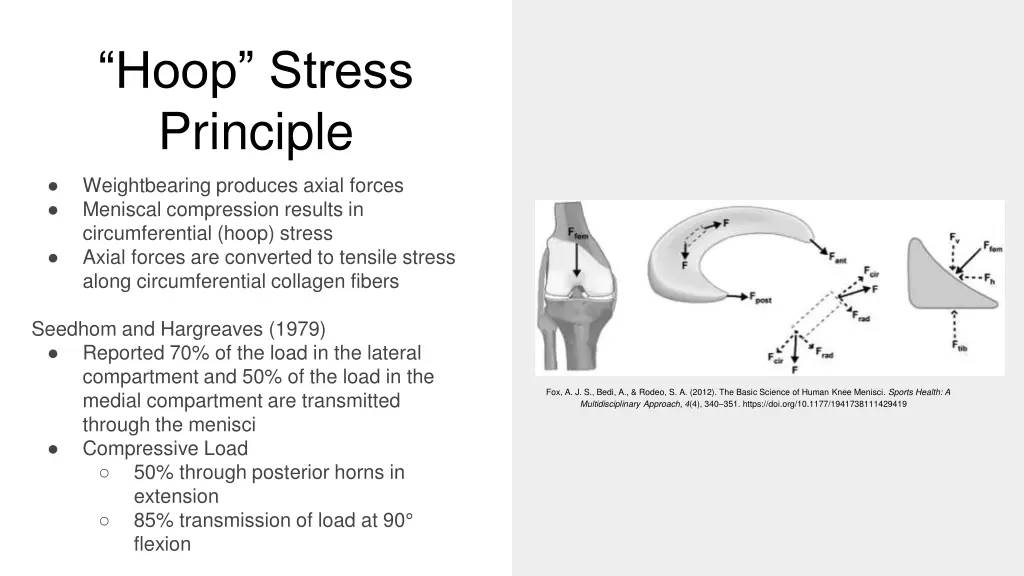 hoop stress principle