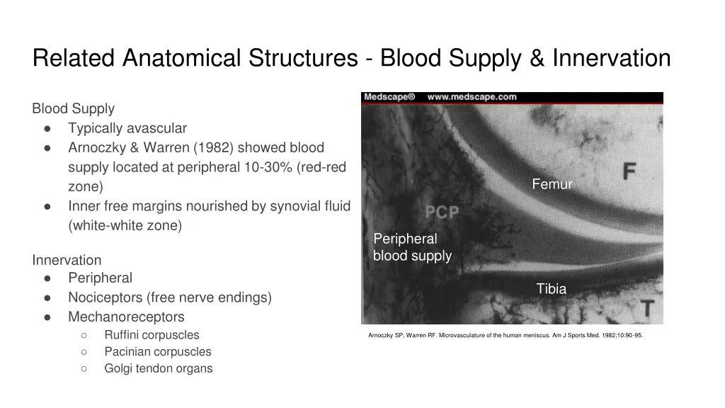 related anatomical structures blood supply