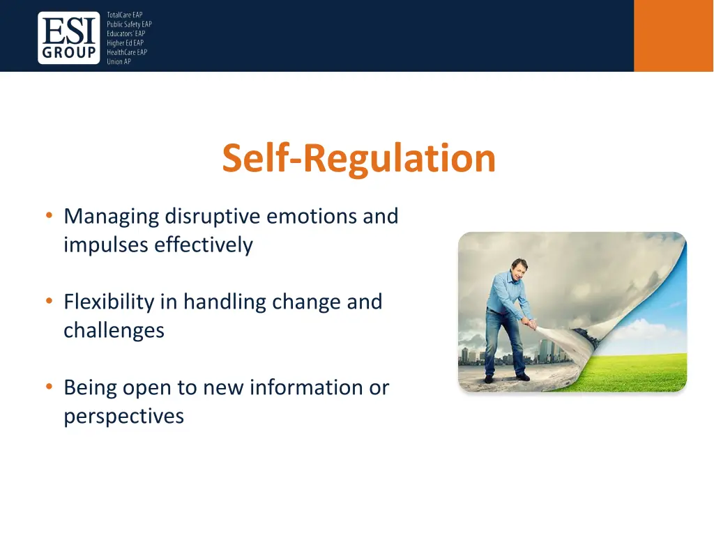 self regulation