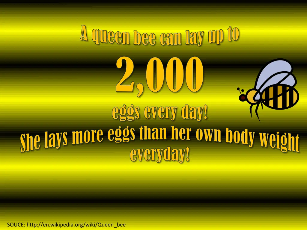 a queen bee can lay up to 2 000 eggs every