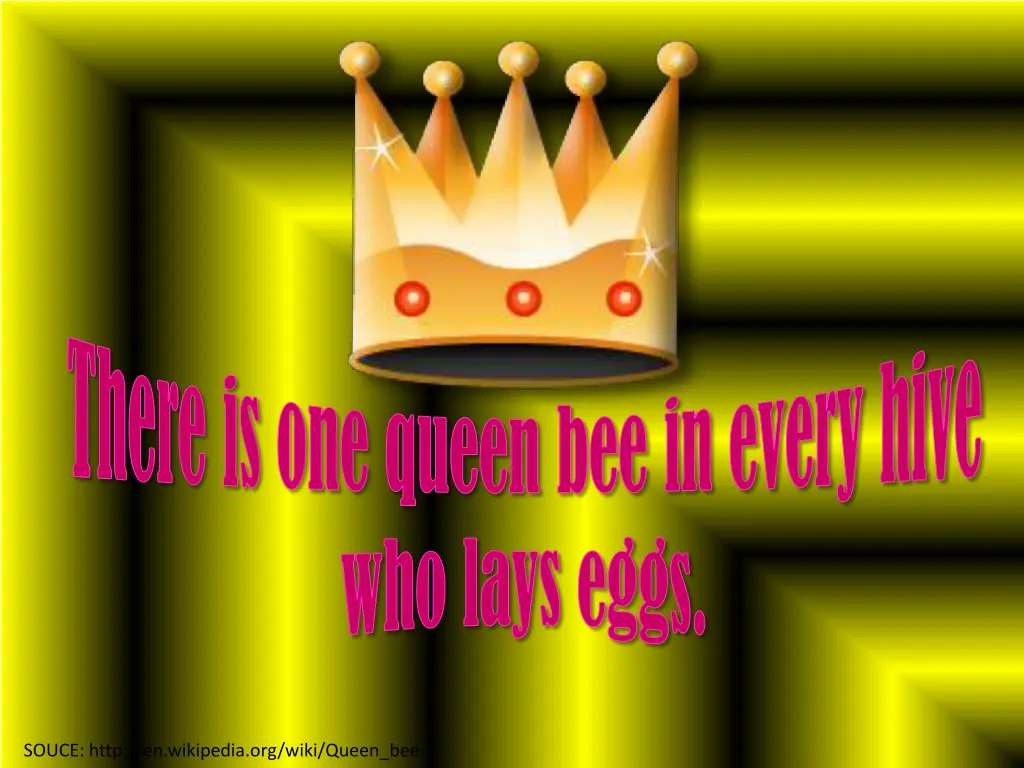 there is one queen bee in every hive who lays eggs