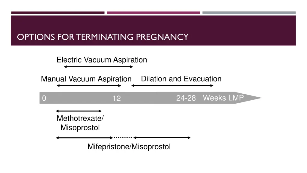 options for terminating pregnancy