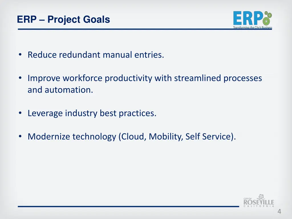 erp project goals 1