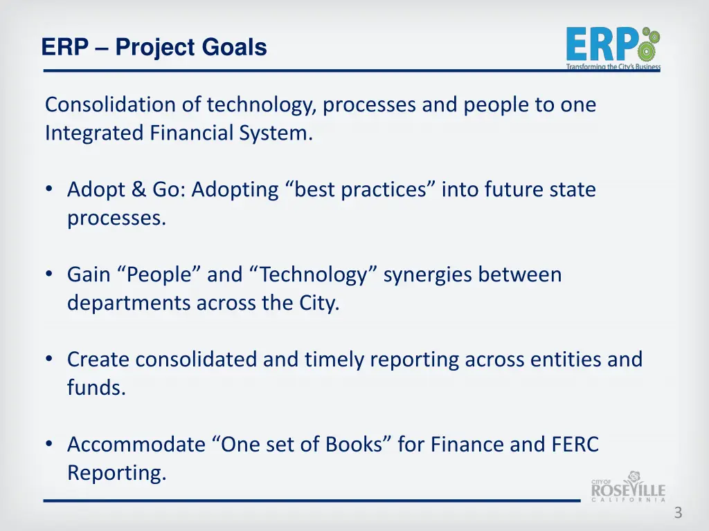 erp project goals