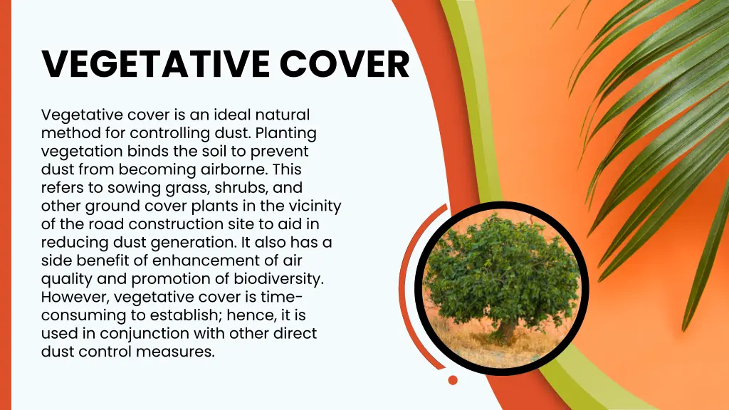 vegetative cover vegetative cover