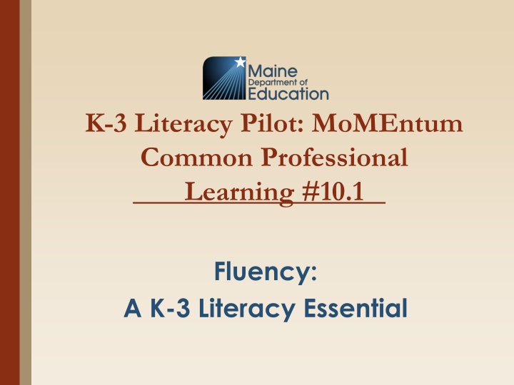 k 3 literacy pilot momentum common professional