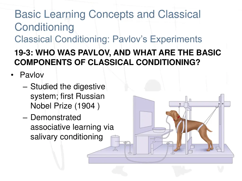 basic learning concepts and classical 3