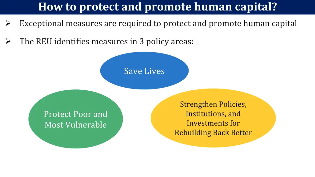 how to protect and promote human capital