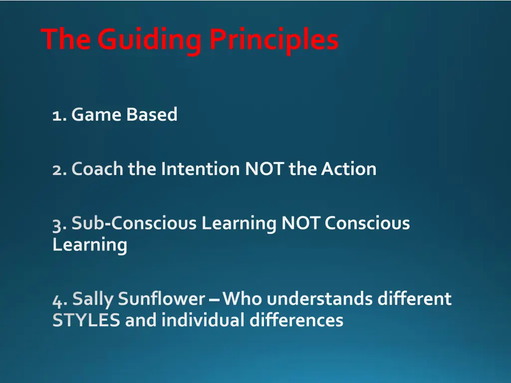 the guiding principles