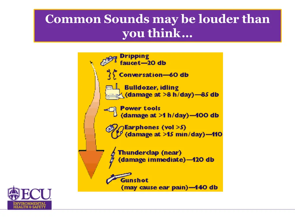 common sounds may be louder than you think