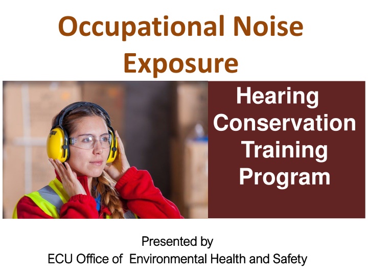 occupational noise exposure