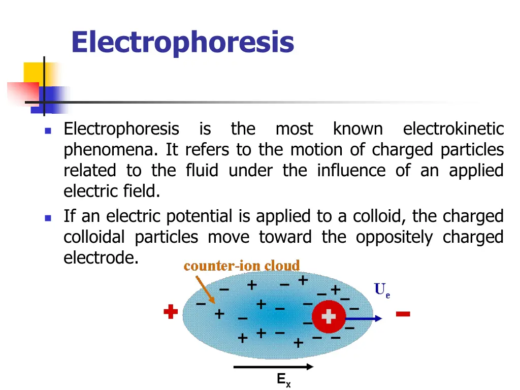 electrophoresis