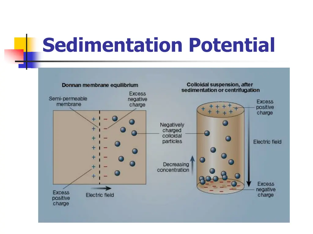 sedimentation potential 1