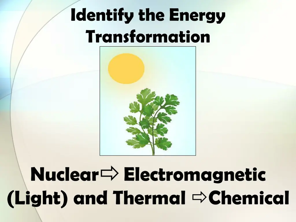 identify the energy transformation 1