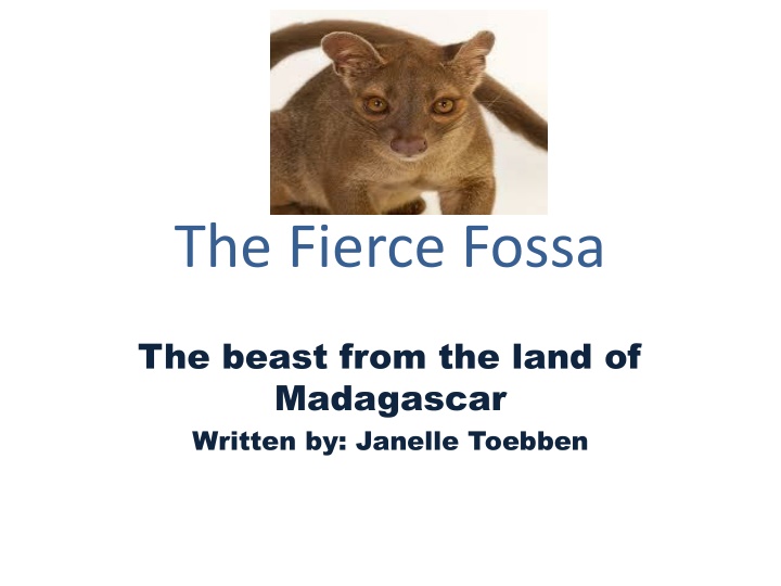 the fierce fossa