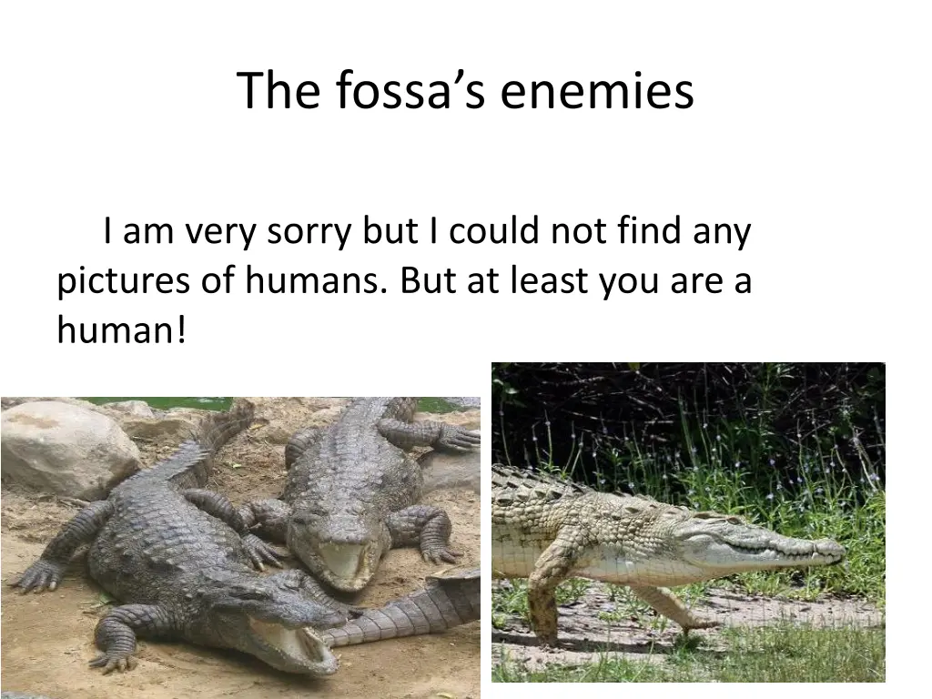 the fossa s enemies