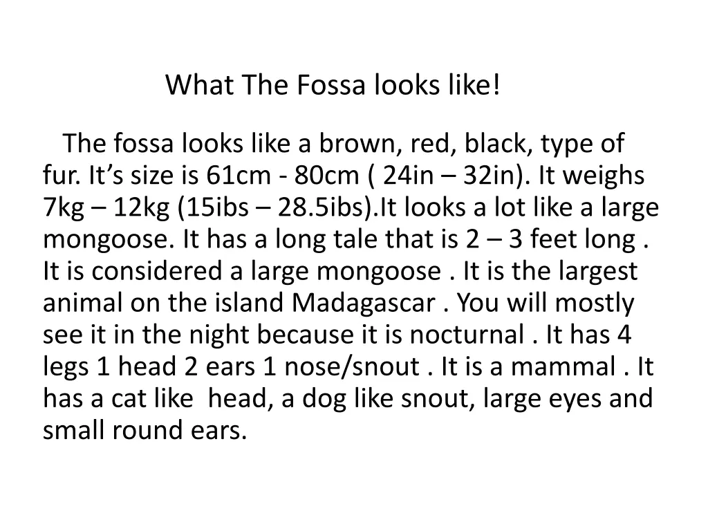 what the fossa looks like