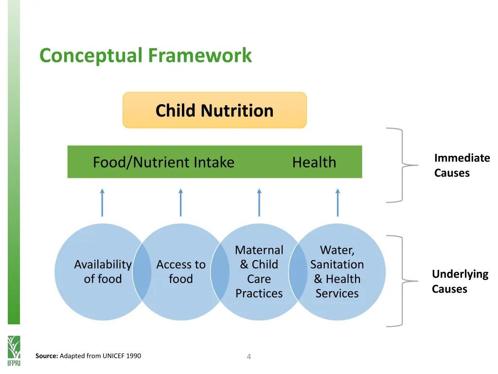 conceptual framework