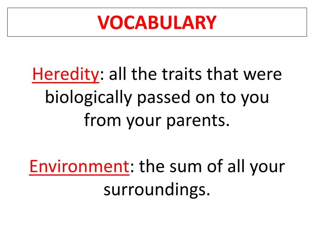 vocabulary 3