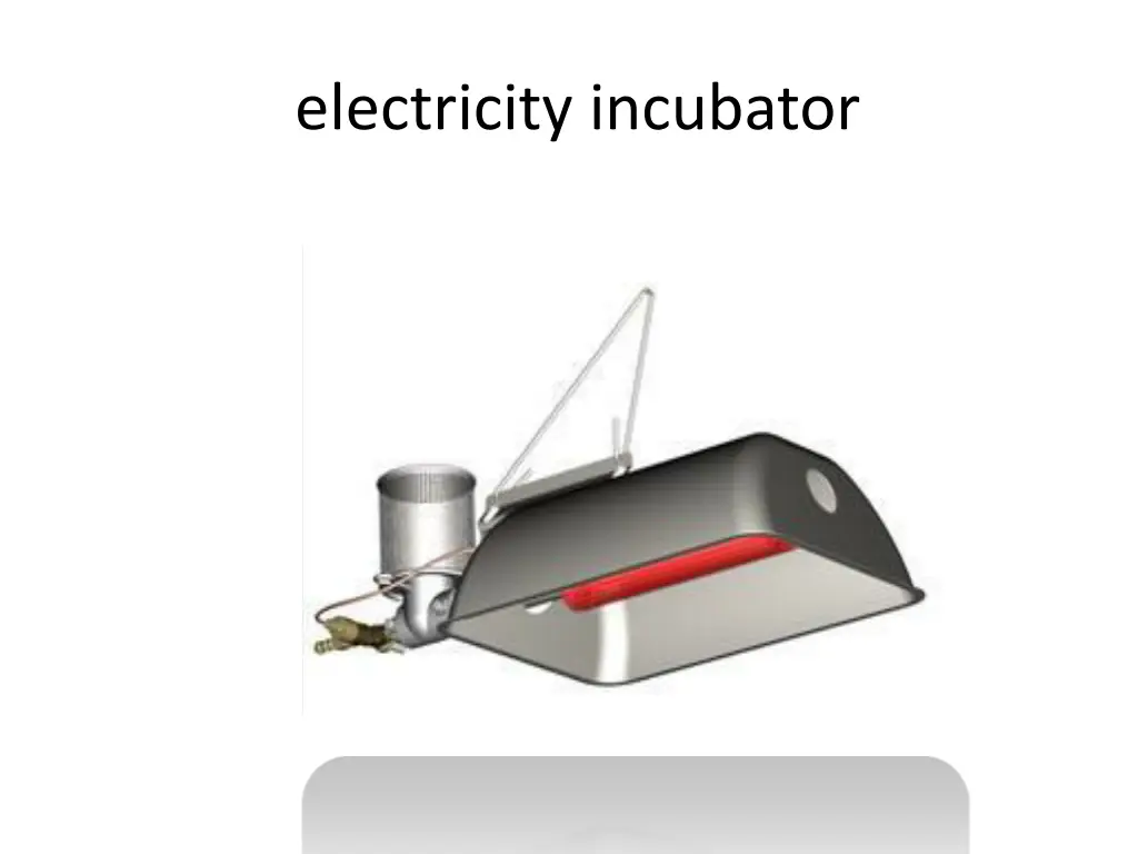 electricity incubator