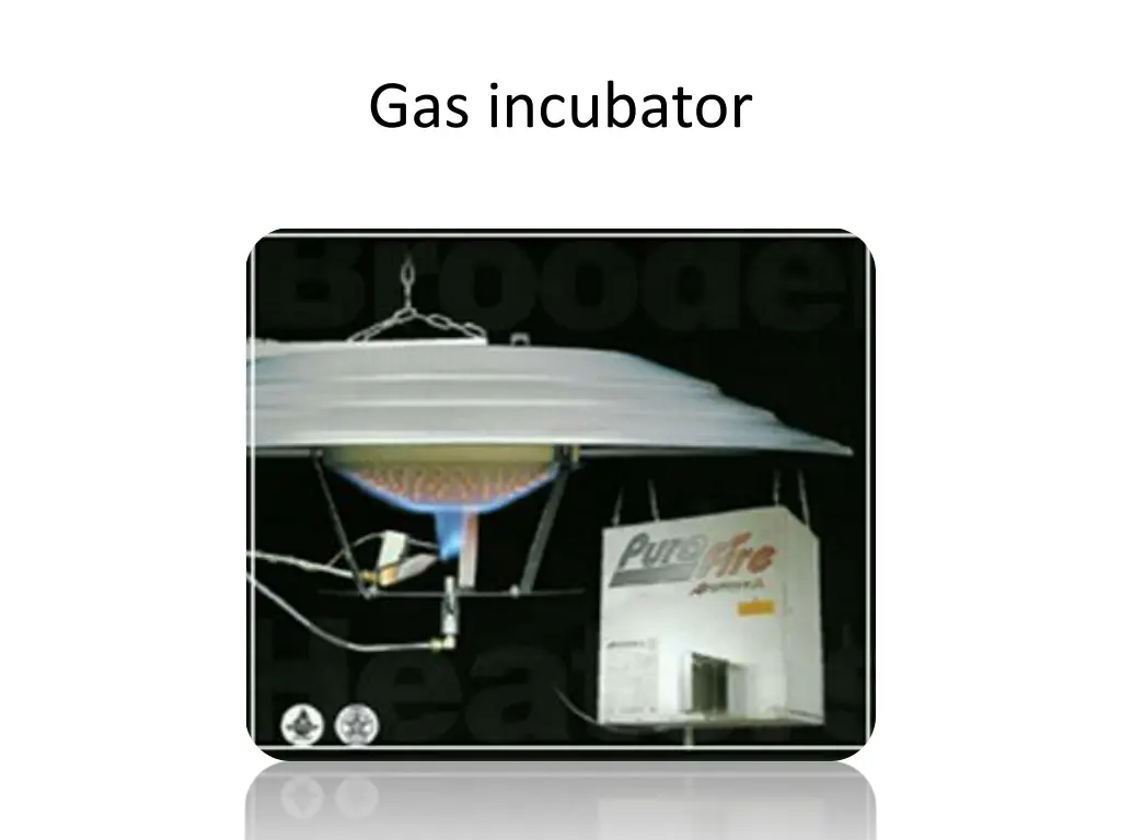 gas incubator 1