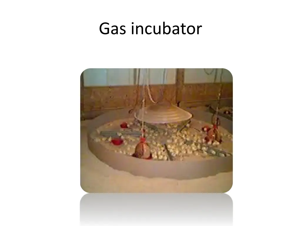 gas incubator