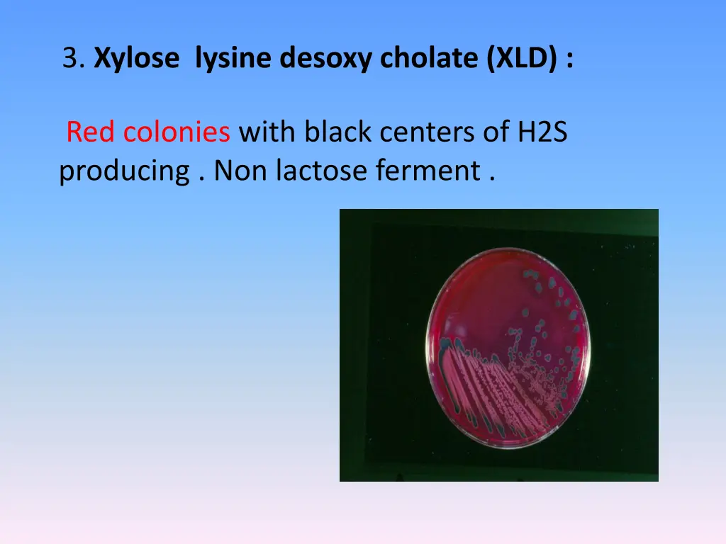 3 xylose lysine desoxy cholate xld