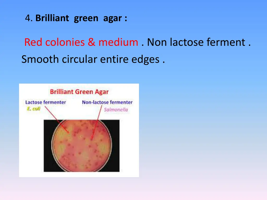 4 brilliant green agar