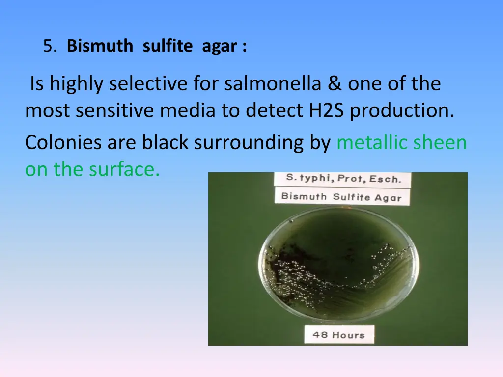 5 bismuth sulfite agar