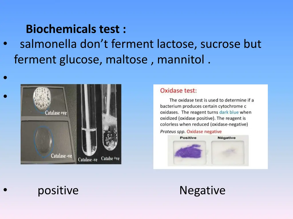 biochemicals test salmonella don t ferment