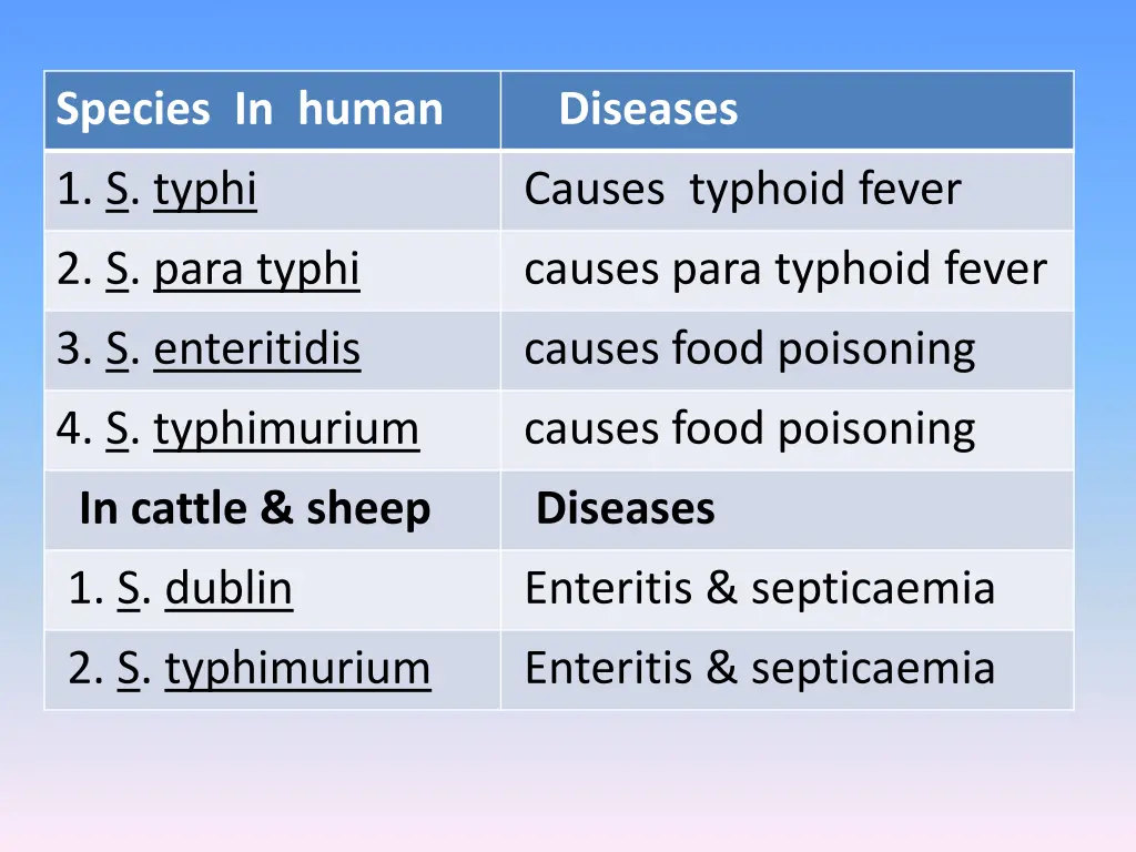 species in human