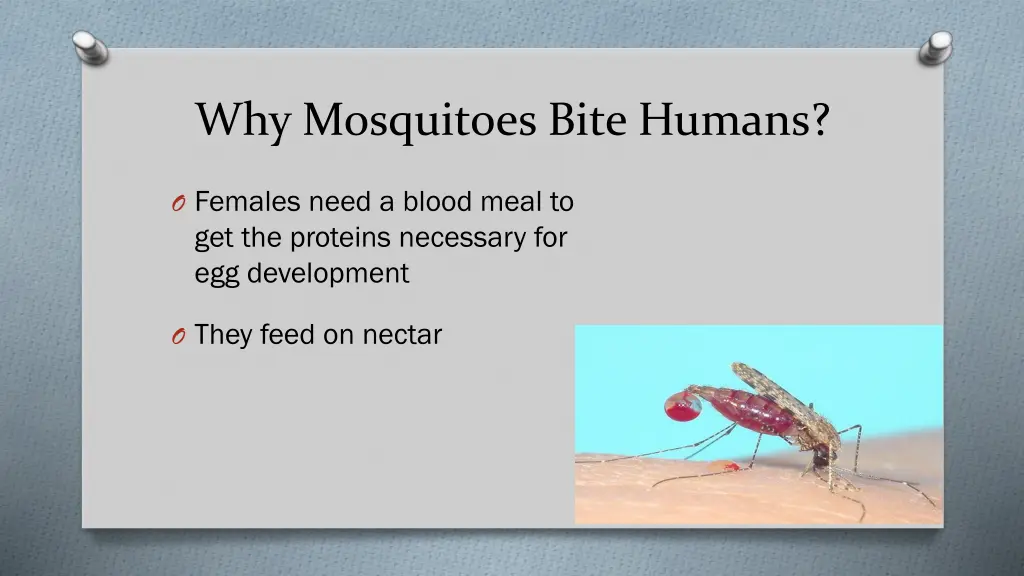 why mosquitoes bite humans